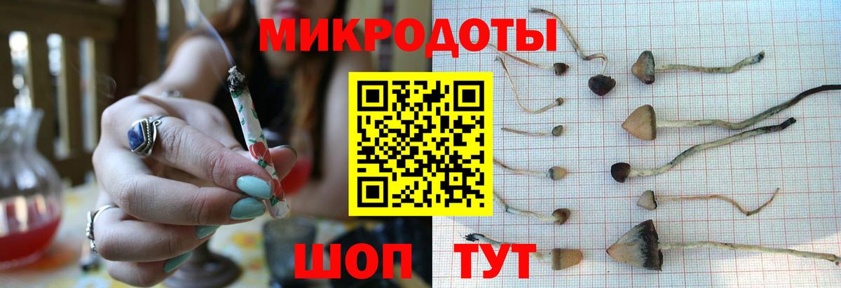 Амурск  Галлюциногенные грибы Psilocybe  Псилоцибиновые грибы мицелий  Вход с VPN 